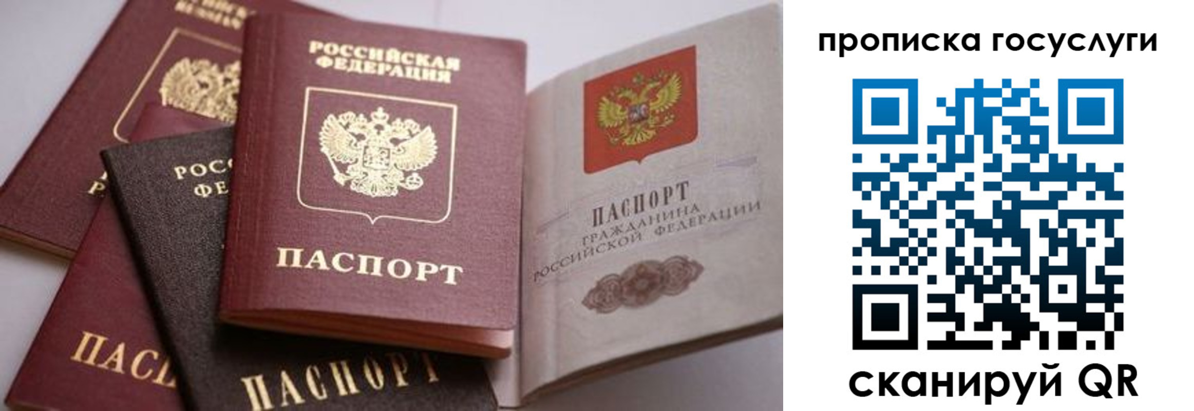 прописка иностранных граждан в Воронеже